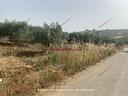 terreno-santa-flavia-