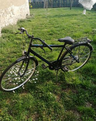 Bicicletta da uomo BOSTON DRIVE