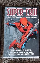 Spider-man  "soltanto un altro giorno"