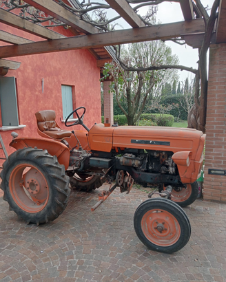 Terreno agricolo