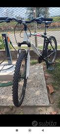 MTB Bottecchia 26