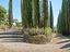 Immagine 17