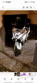 Maxi Scooter