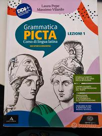 Grammatica Picta Vol 1