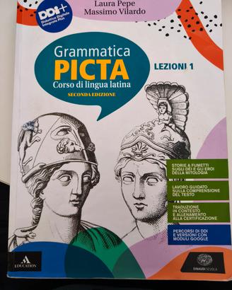 Grammatica Picta Vol 1