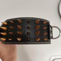 Collare per Cane Antiaggressione