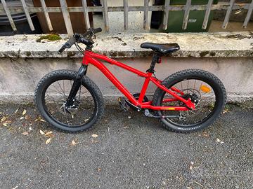 Bicicletta 20 pollici bambino