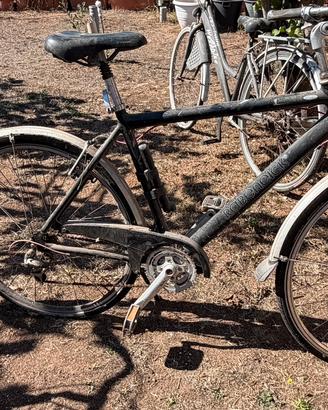 Bicicletta Stock 4