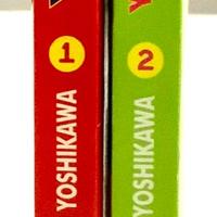 Manga il teppista e la quattrocchi