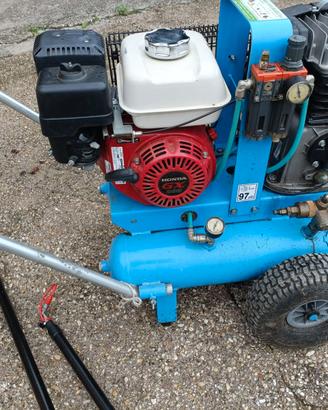 Kit completo raccolta olive Motocompressore