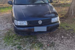 Polo 3