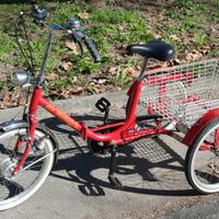 bicicletta a tre ruote 
