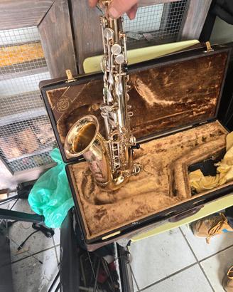 sax contralto 
