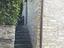 Immagine 5