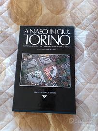 Libro Fotografico "A Naso in giù...Torino" 