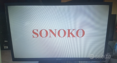 TV sonoko