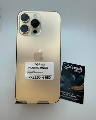 iPhone 14 Pro Max 256GB gold usato garanzia 