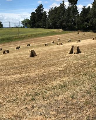 Terreni agricoli varie misure