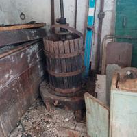 Vecchio Torchio + Tini ( entro 10 gg)