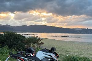 2023 KTM Duke 790 L ABS 35Kw - Patente A2