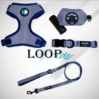 Set accessori da passeggio per cani