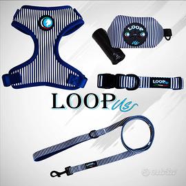 Set accessori da passeggio per cani