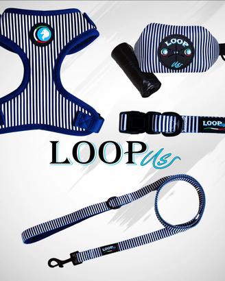 Set accessori da passeggio per cani