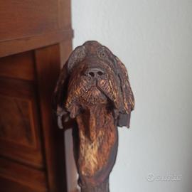 Bastone da passeggio/collezione 