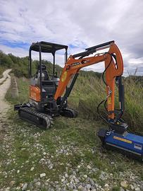 Mini escavatore DEVELON DX17z