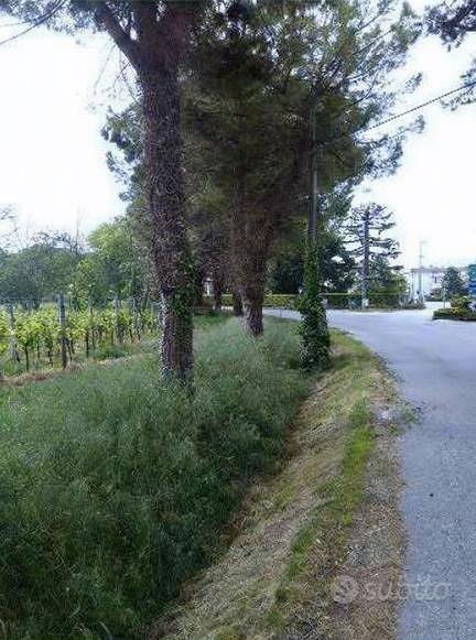 Immobile in asta di 50060 m² a Caneva - Vista 5