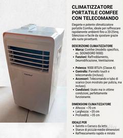Climatizzatore con telecomando