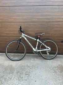 bicicletta focus