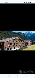 Dolomiti last minute appartamento 5 posti letto