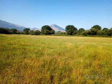 Terreno agricolo 20 ettar con rudere uso abitativo