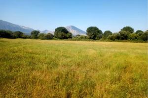 Terreno agricolo 20 ettar con rudere uso abitativo