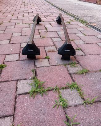 Portatututto auto della Norauto per Renault Scenic