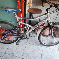biciclettata uomo 