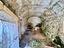 Immagine 17