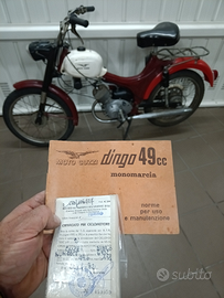 Dingo 50 monomarcia