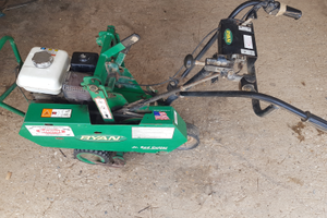 Tagliazolle Ryan junior 30