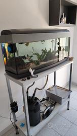 acquario 120litri con pesci tropicali e accessori 