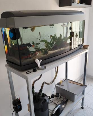 acquario 120litri con pesci tropicali e accessori 