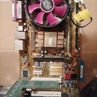 P5kpl/1600 Scheda Madre Asus