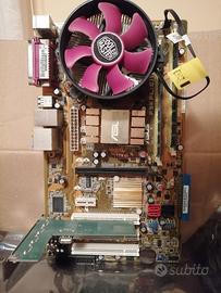 P5kpl/1600 Scheda Madre Asus