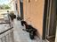 Immagine 14