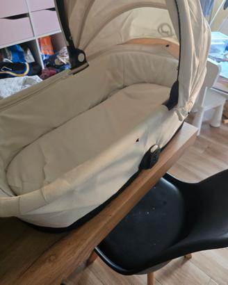 Navicella cybex gazelle s