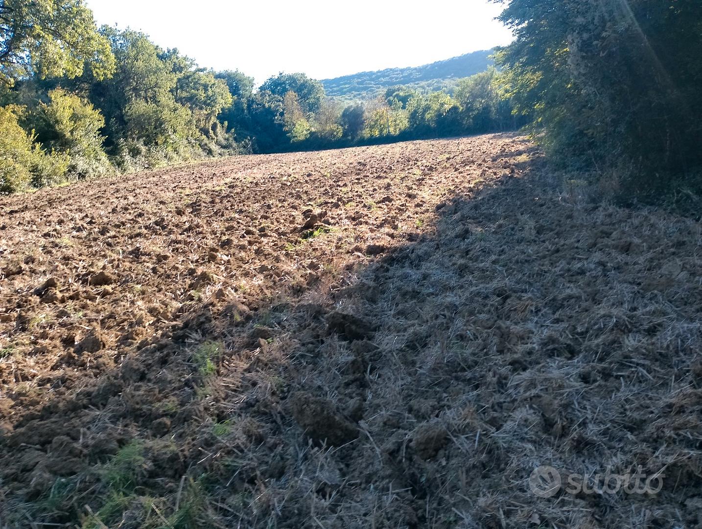 Terreno agricolo irriguo - Vista 2