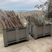 Canne per vigneto/ orto
