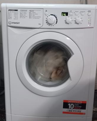 Lavatrice Indesit 6 kg, 1000 giri