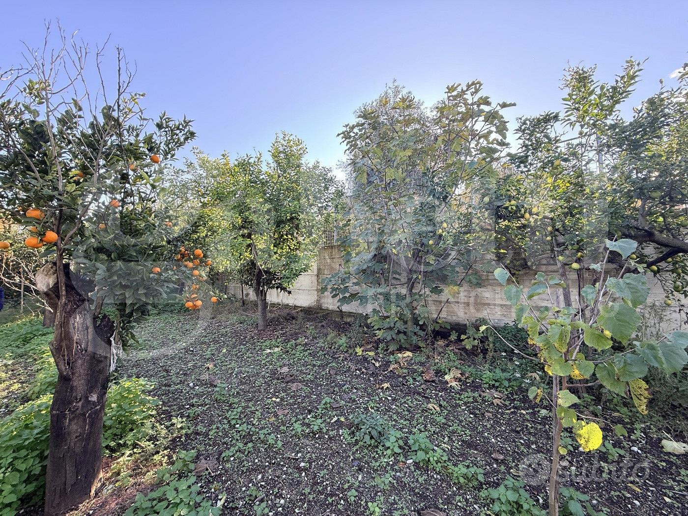 Terreno Agricolo Sant'Egidio del Monte Albino - Altro
